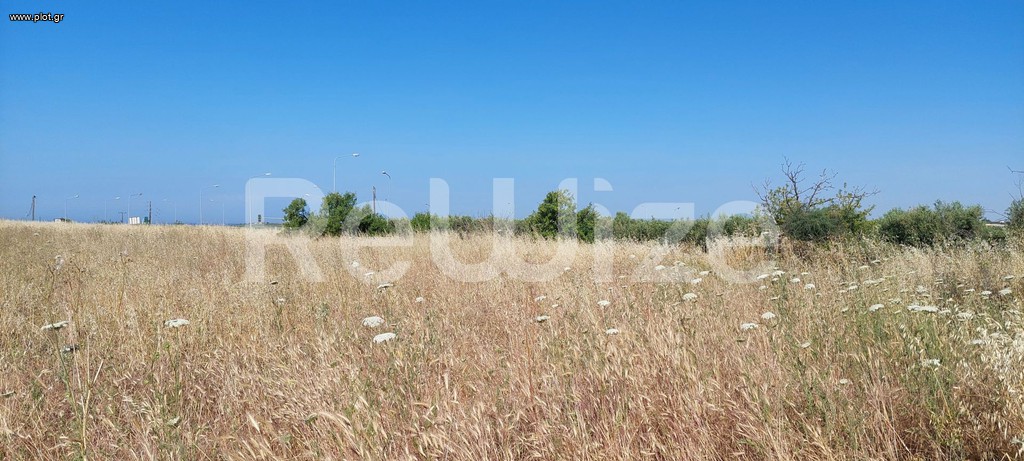 Αγροτεμάχια 6.770 τ.μ. προς πώληση, Νέα Μουδανιά