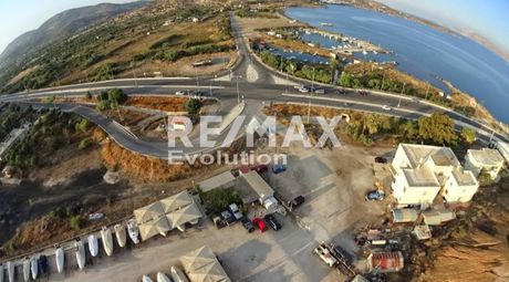 Business bulding 40.000 sqm for sale