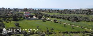 Αγροτεμάχια 5.184 τ.μ. για πώληση