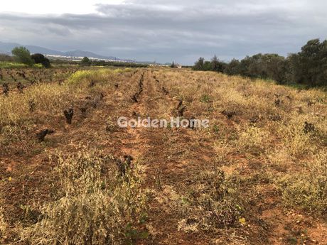 Parcel 6.000 sqm for rent