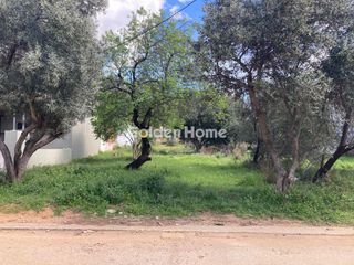 Οικόπεδο 303 τ.μ. για πώληση