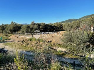 Αποθήκη 28 τ.μ. για ενοικίαση