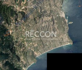 Αγροτεμάχια 8.500 τ.μ. για πώληση