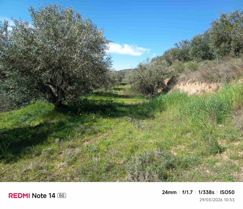 Αγροτεμάχια 19.634 τ.μ. πρός πώληση, Μαγνησία, Αισωνία