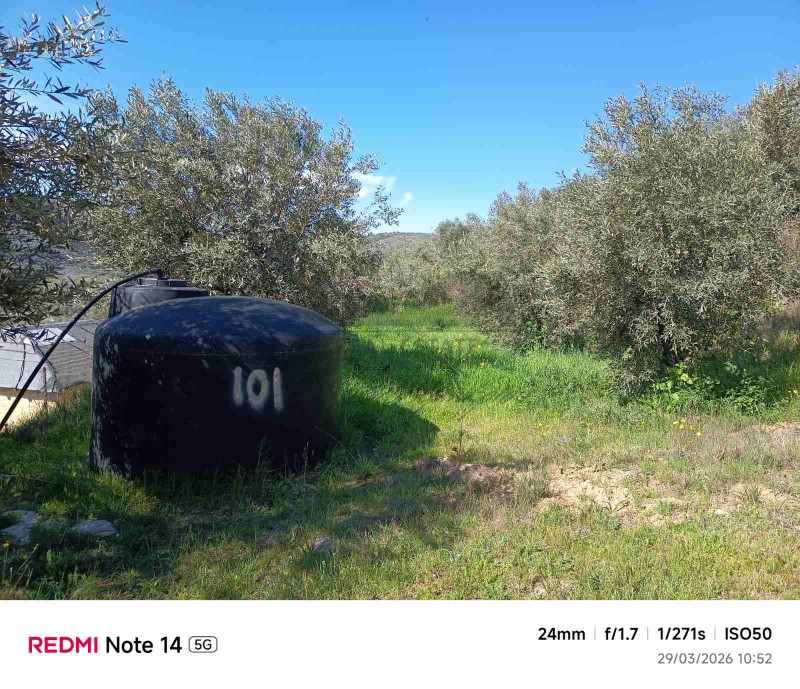 Αγροτεμάχια 19.634 τ.μ. πρός πώληση, Μαγνησία, Αισωνία