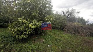 Αγροτεμάχια 1.147 τ.μ. για πώληση
