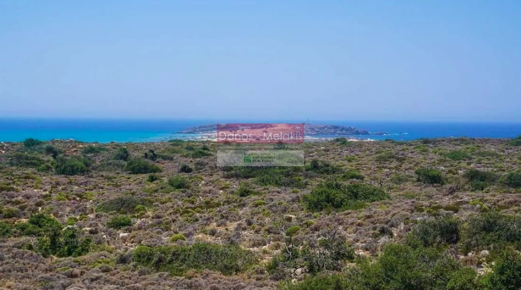 Οικόπεδο 14.147 τ.μ. προς πώληση, Σκλαβοπούλα