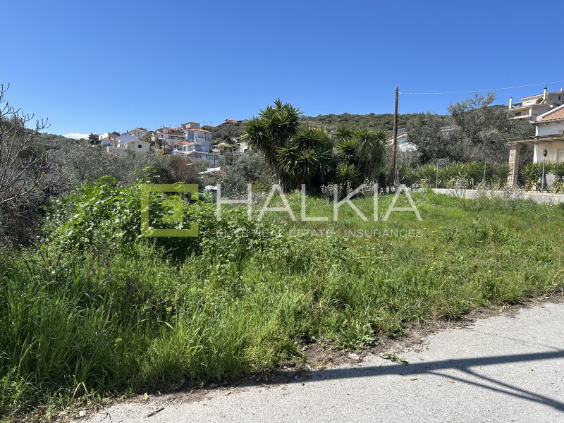 Οικόπεδο 241 τ.μ. πρός πώληση, Μαγνησία, Νέα Αγχίαλος