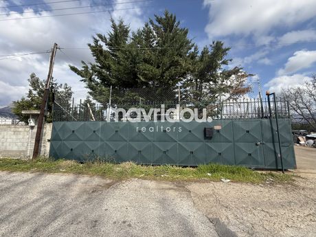 Βιοτεχνικός χώρος 285,20 τ.μ. πρός ενοικίαση
