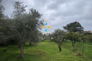Οικόπεδο 1.307 τ.μ. για πώληση