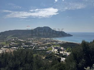 Αγροτεμάχια 7.880 τ.μ. για πώληση