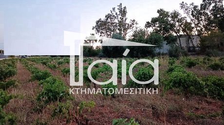 Οικόπεδο 11.677 τ.μ. προς πώληση