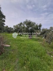 Οικόπεδο 2.880 τ.μ. για πώληση
