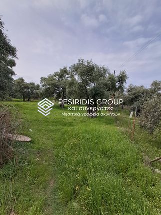 Οικόπεδο 2.880 τ.μ. για πώληση, Ν. Καβάλας, Θάσος