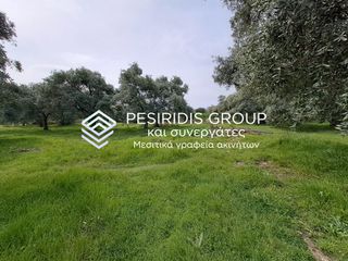 Οικόπεδο 2.880 τ.μ. για πώληση, Ν. Καβάλας, Θάσος-thumb-1
