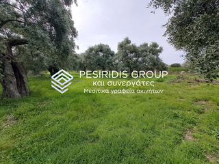 Οικόπεδο 2.880 τ.μ. για πώληση, Ν. Καβάλας, Θάσος-thumb-2