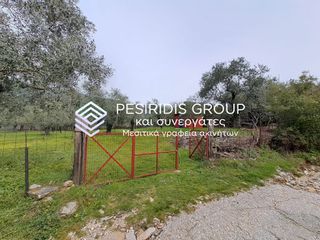 Αγροτεμάχια 2.200 τ.μ. για πώληση