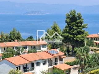Αγροτεμάχια 4.000 τ.μ. για πώληση