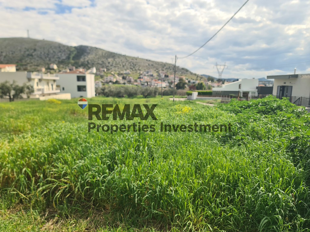 Οικόπεδο 800,13 τ.μ. προς πώληση, Έξω Παναγίτσα