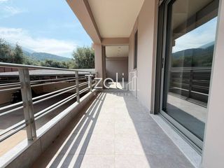 Μονοκατοικία 349 τ.μ. για ενοικίαση, Αχαΐα, Μεσσατίδα-thumb-28