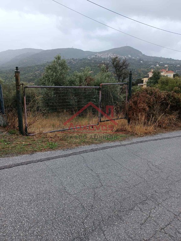 Οικόπεδο 4.244 τ.μ. πρός πώληση, Εύβοια, Κύμη