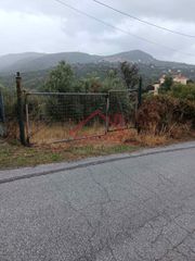 Οικόπεδο 4.244 τ.μ. για πώληση