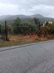 Οικόπεδο 4.244 τ.μ. προς πώληση, Πλατάνα Κύμης-thumb-2