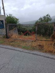 Οικόπεδο 4.244 τ.μ. προς πώληση, Πλατάνα Κύμης-thumb-3