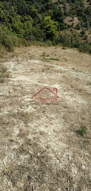 Οικόπεδο 4.029 τ.μ. πρός πώληση, Εύβοια, Κύμη