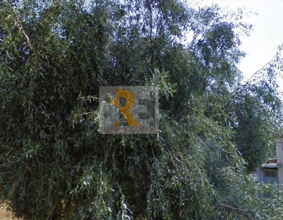 Land plot 337 sqm for sale, Athens - East, Paiania