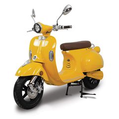 Golden Lion Fighter 4Kw 2026