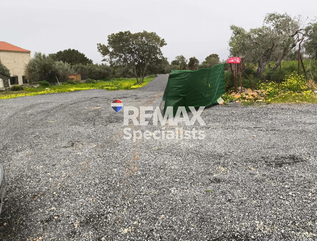 Οικόπεδο 1.000 τ.μ. προς πώληση, Παζινός