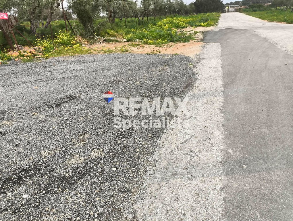Οικόπεδο 1.000 τ.μ. προς πώληση, Παζινός