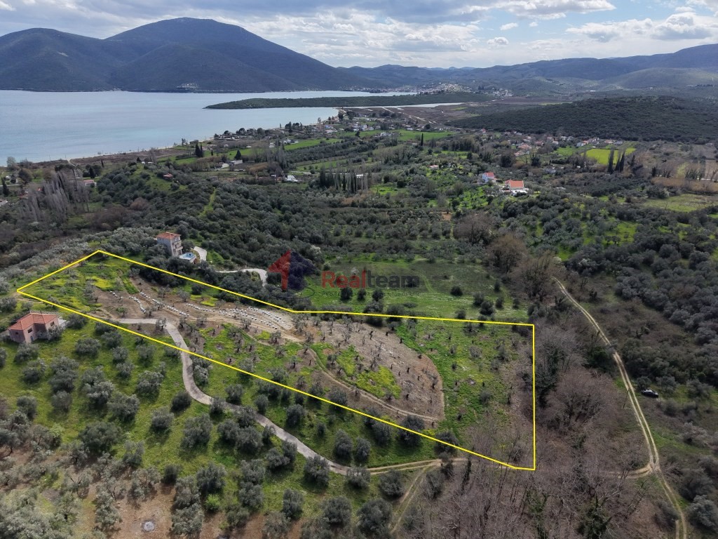 Αγροτεμάχια 9.202 τ.μ. πρός πώληση, Μαγνησία, Πτελεός