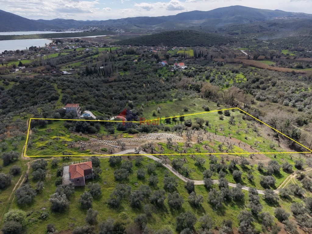 Αγροτεμάχια 9.202 τ.μ. πρός πώληση, Μαγνησία, Πτελεός