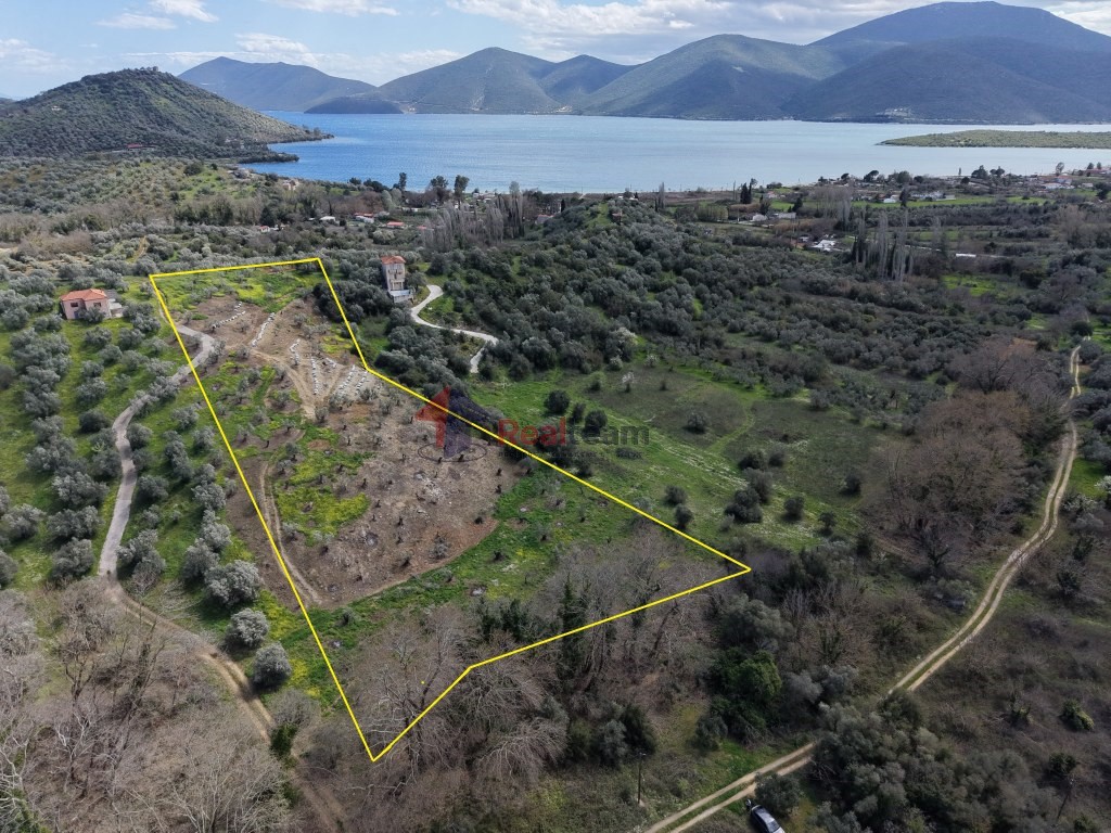 Αγροτεμάχια 9.202 τ.μ. πρός πώληση, Μαγνησία, Πτελεός