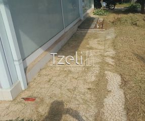 Κατάστημα 240 τ.μ. για πώληση, Αχαΐα, Μεσσατίδα-thumb-8