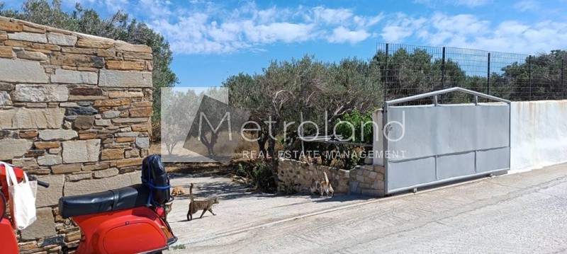 Μονοκατοικία 300 τ.μ. προς πώληση, Σπεράδος