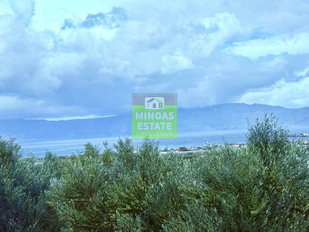 Οικόπεδο 859 τ.μ. προς πώληση, Τράχηλος