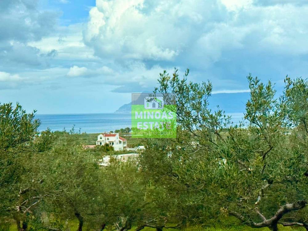 Οικόπεδο 859 τ.μ. προς πώληση, Τράχηλος