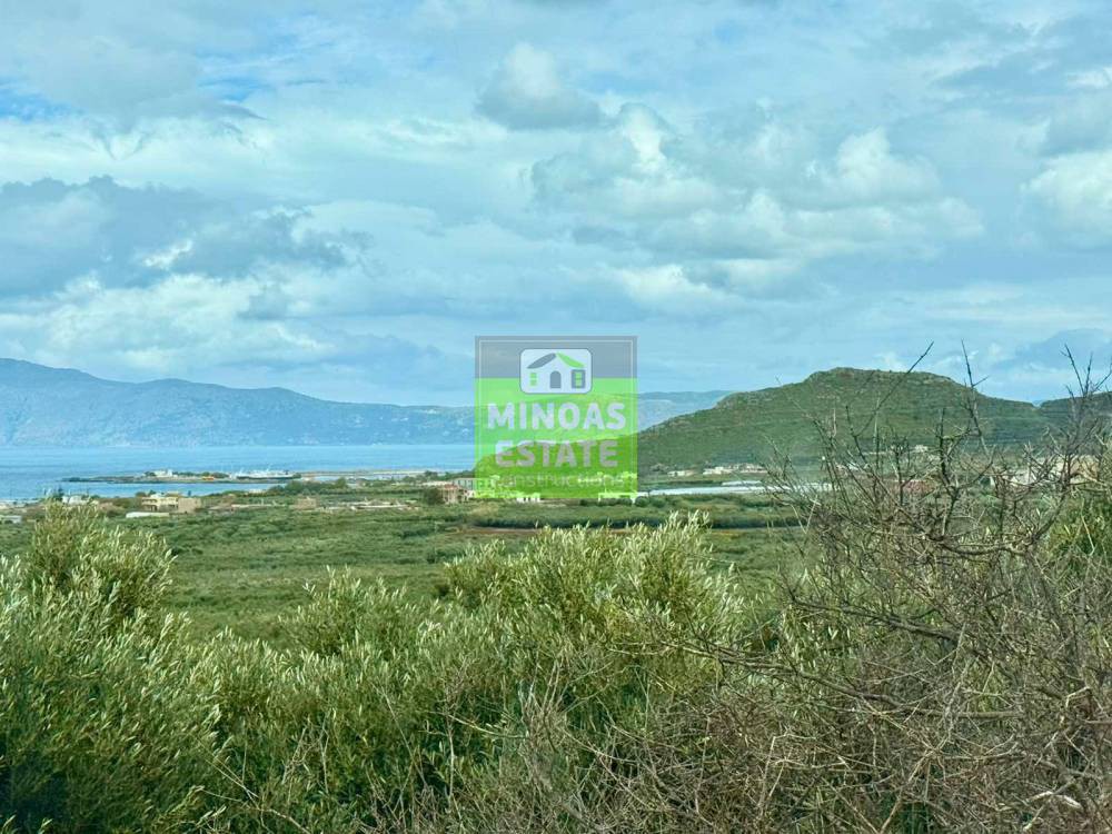 Οικόπεδο 859 τ.μ. προς πώληση, Τράχηλος