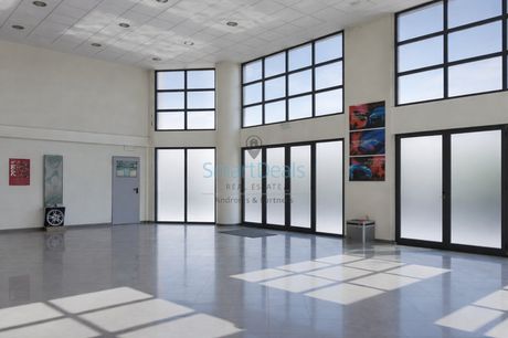 Business bulding 462 sqm for rent