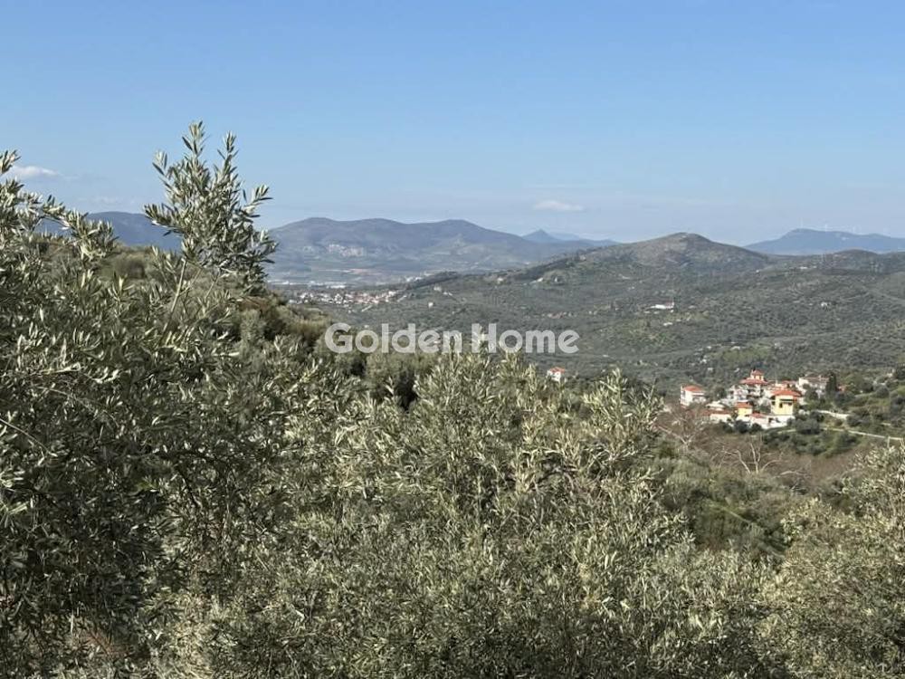 Οικόπεδο 5.307 τ.μ. προς πώληση, Φυτόκο