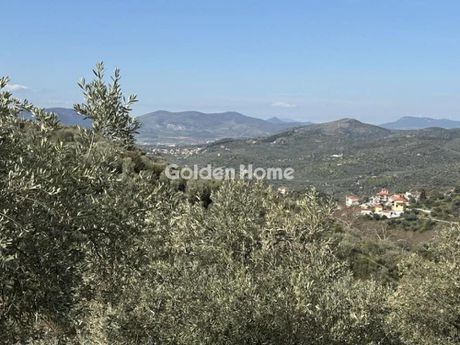 Land plot 5.307 sqm for sale