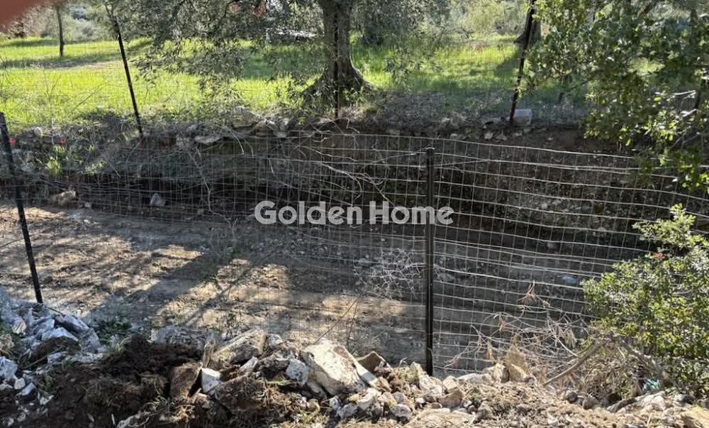 Αγροτεμάχια 2.491 τ.μ. προς πώληση, Λουτζίγκο