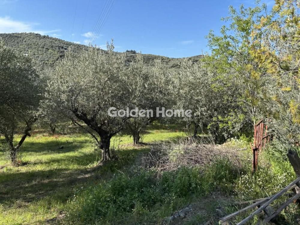 Αγροτεμάχια 2.491 τ.μ. προς πώληση, Λουτζίγκο