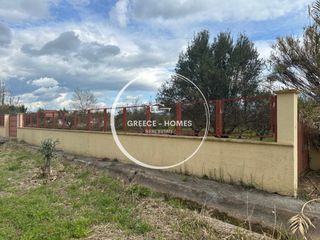 Αγροτεμάχια 5.000 τ.μ. πρός πώληση, Μεσσηνία, Άριο-thumb-5