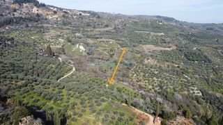 Αγροτεμάχια 10.000 τ.μ. για πώληση