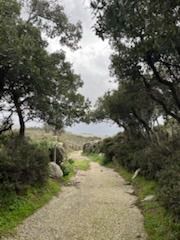 Οικόπεδο 4.000 τ.μ. για πώληση, Κυκλάδες, Άνδρος-thumb-1