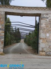 Βίλλα 341 τ.μ. για πώληση, Αργολίδα, Ερμιόνη-thumb-17